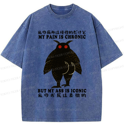 Tokyo-Tiger Monster Mothman Funny Washed T-Shirt
