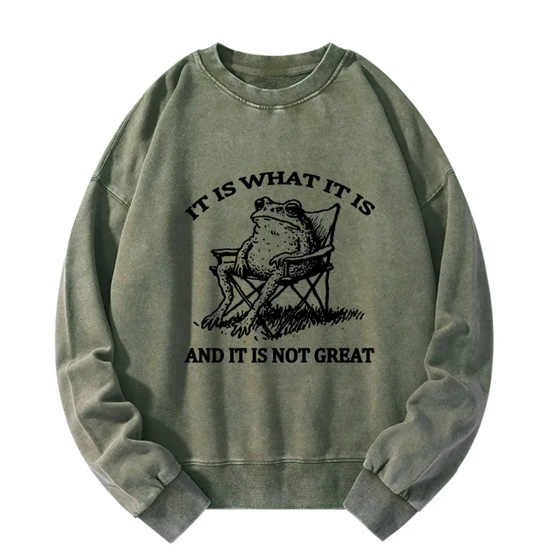 Tokyo-Tiger Resting Frog Funny Washed Sweatshirt