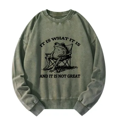 Tokyo-Tiger Resting Frog Funny Washed Sweatshirt