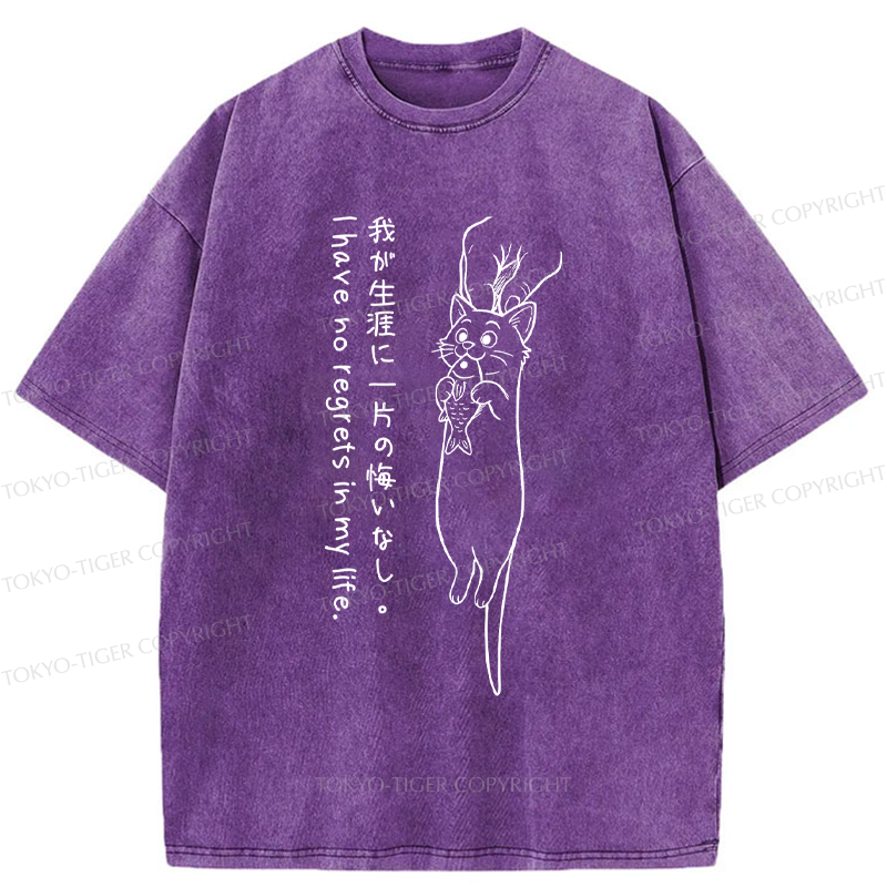 Tokyo-Tiger Funny Cat eat fish meme Washed T-Shirt