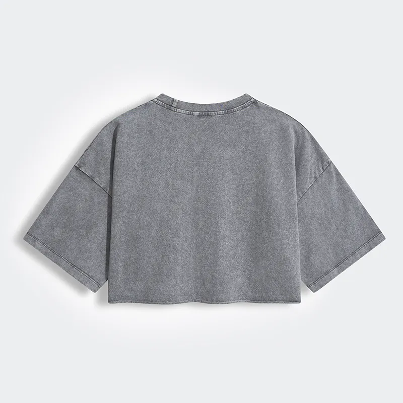 Tokyo-Tiger Indoor Kitten Women's Washed Crop T-Shirt