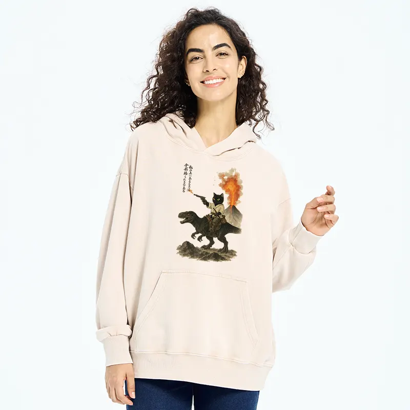 Tokyo-Tiger Cat Riding A Dinosaur Washed Hoodie
