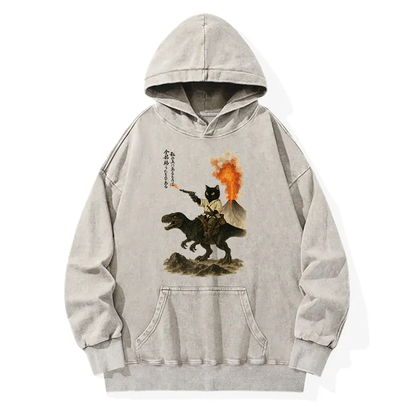 Tokyo-Tiger Cat Riding A Dinosaur Washed Hoodie