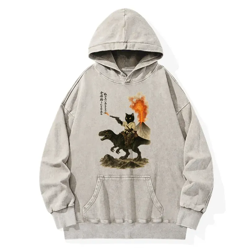 Tokyo-Tiger Cat Riding A Dinosaur Washed Hoodie