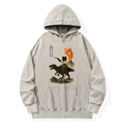 Tokyo-Tiger Cat Riding A Dinosaur Washed Hoodie