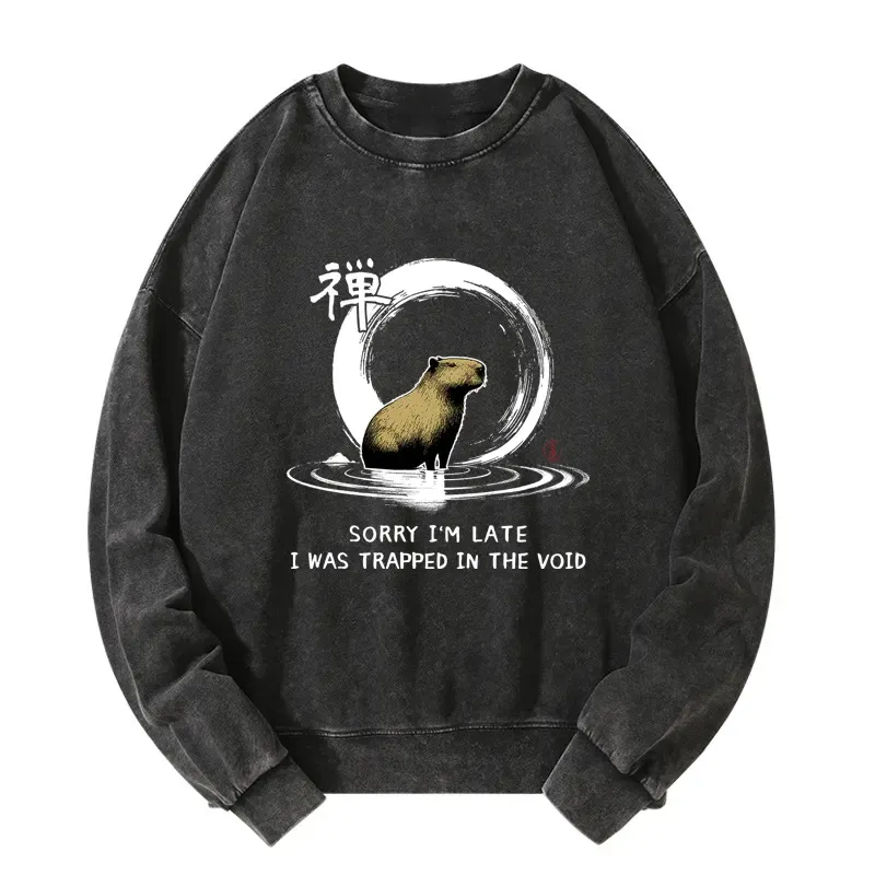 Tokyo-Tiger Zen Capybara Was Trapped In The Void Washed Sweatshirt