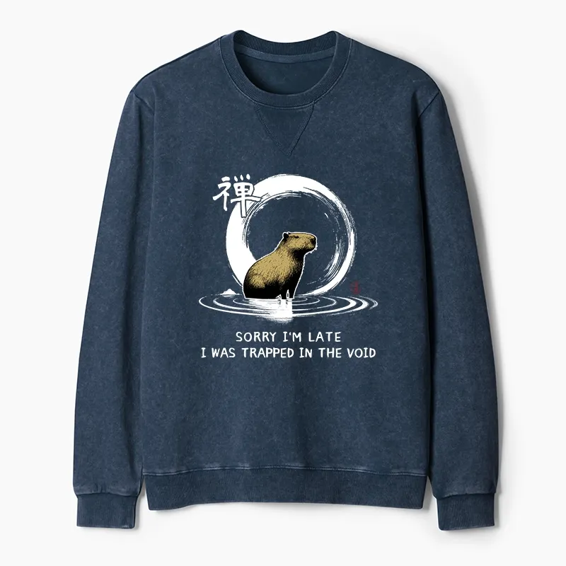 Tokyo-Tiger Zen Capybara Was Trapped In The Void Washed Terry Sweatshirt