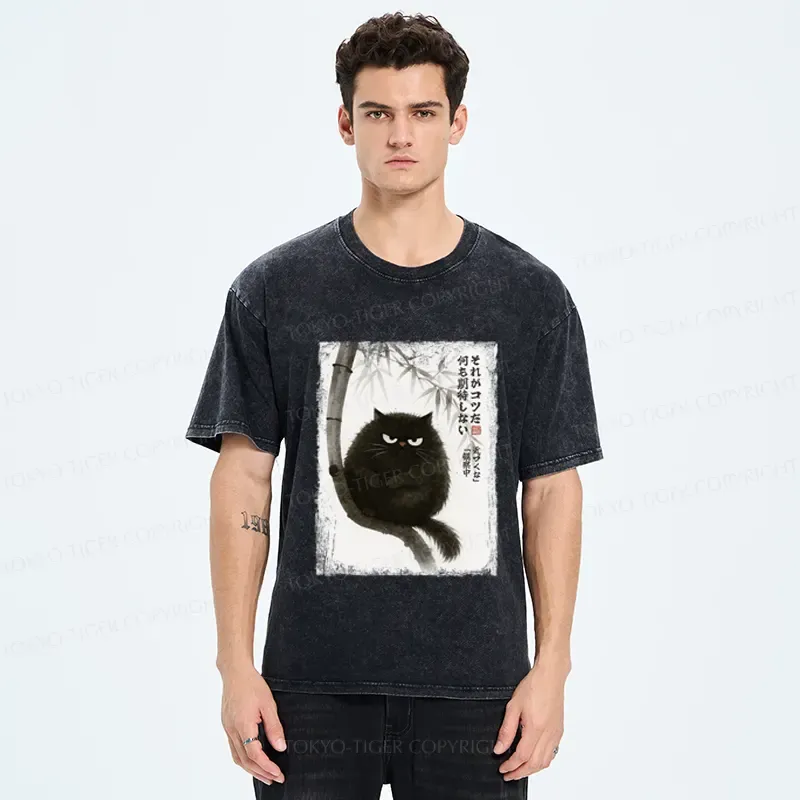 Tokyo-Tiger Funny Silent Observer: The Cat's Gaze Washed T-Shirt