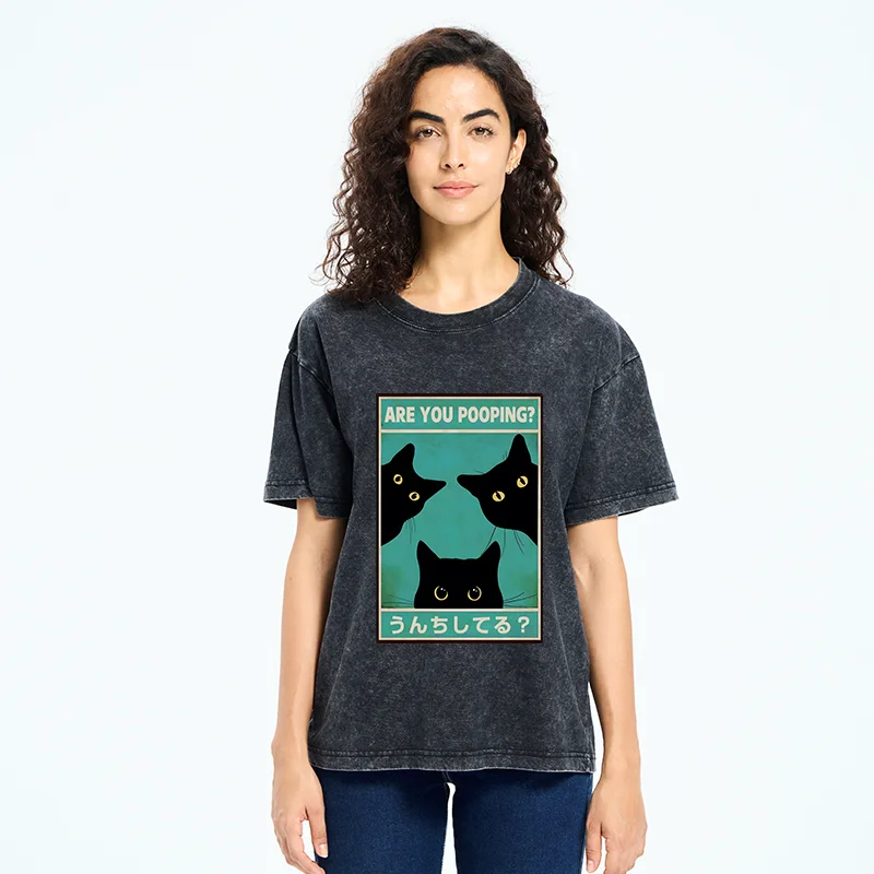 Tokyo-Tiger Cats Watching You Poop Washed T-Shirt