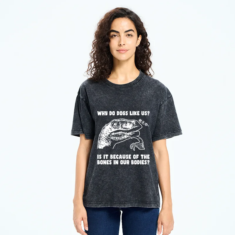 Tokyo-Tiger Thinking Philosoraptor Washed T-Shirt