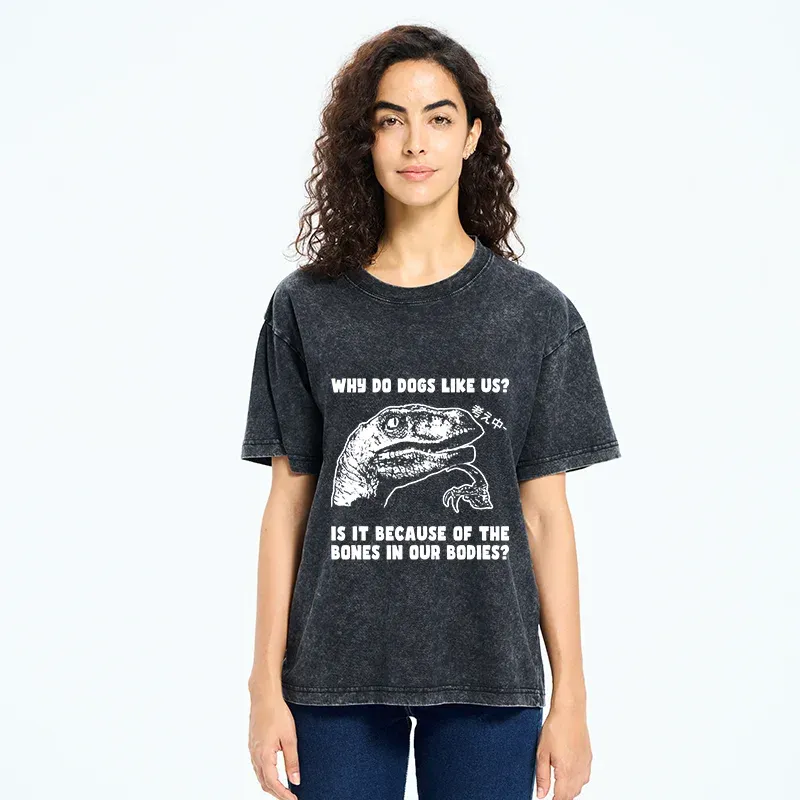 Tokyo-Tiger Thinking Philosoraptor Washed T-Shirt
