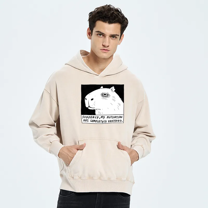 Tokyo-Tiger Power Has Completely Disappeared Washed Hoodie