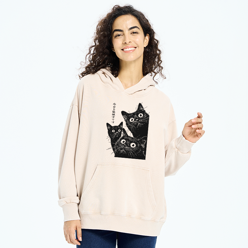 Tokyo-Tiger Three Cats Are Watching You Today Washed Hoodie
