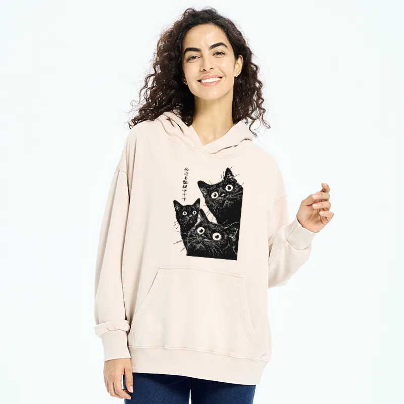 Tokyo-Tiger Three Cats Are Watching You Today Washed Hoodie