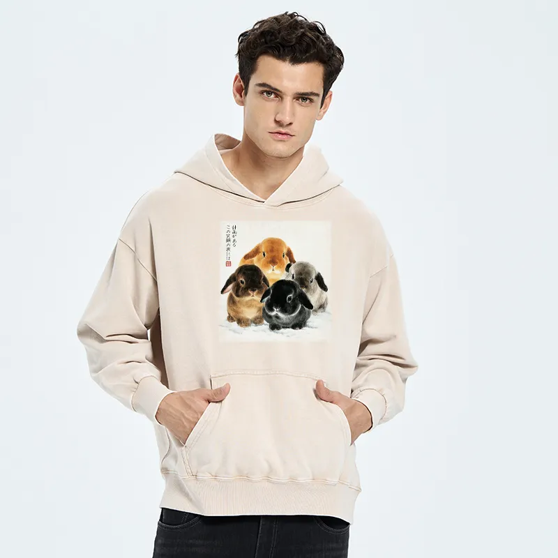 Tokyo-Tiger The Ink Wash Rabbit Is Watching You Washed Hoodie