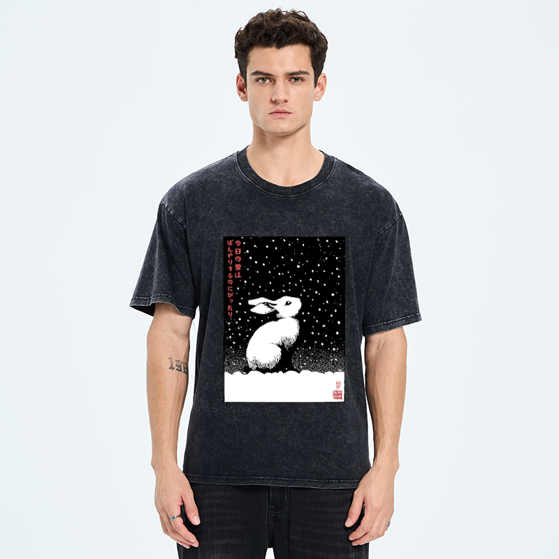 Tokyo-Tiger A Snowy Day to Daydream Washed T-Shirt