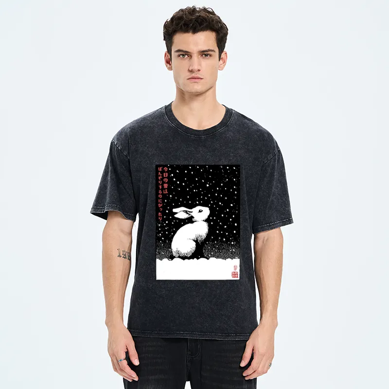 Tokyo-Tiger A Snowy Day to Daydream Washed T-Shirt