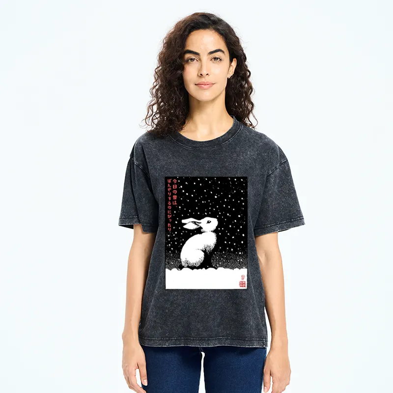 Tokyo-Tiger A Snowy Day to Daydream Washed T-Shirt