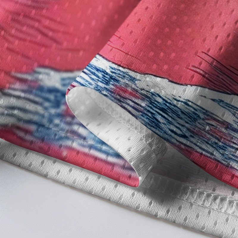 Tokyo-Tiger Ukiyoe Hokusai Mountain Mesh Jersey