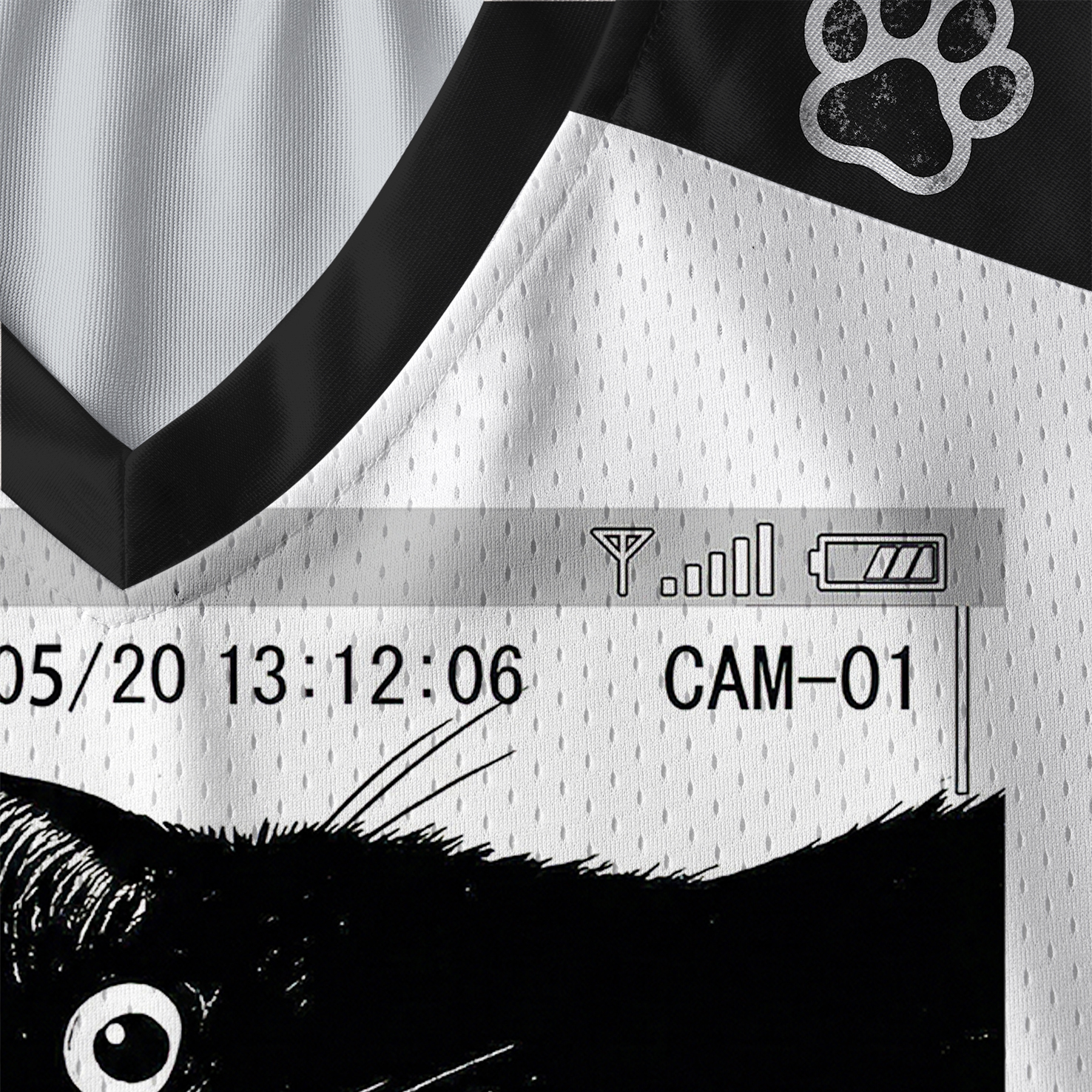 Tokyo-Tiger The Cat Is Watching Today Paneled Long Sleeve Jersey