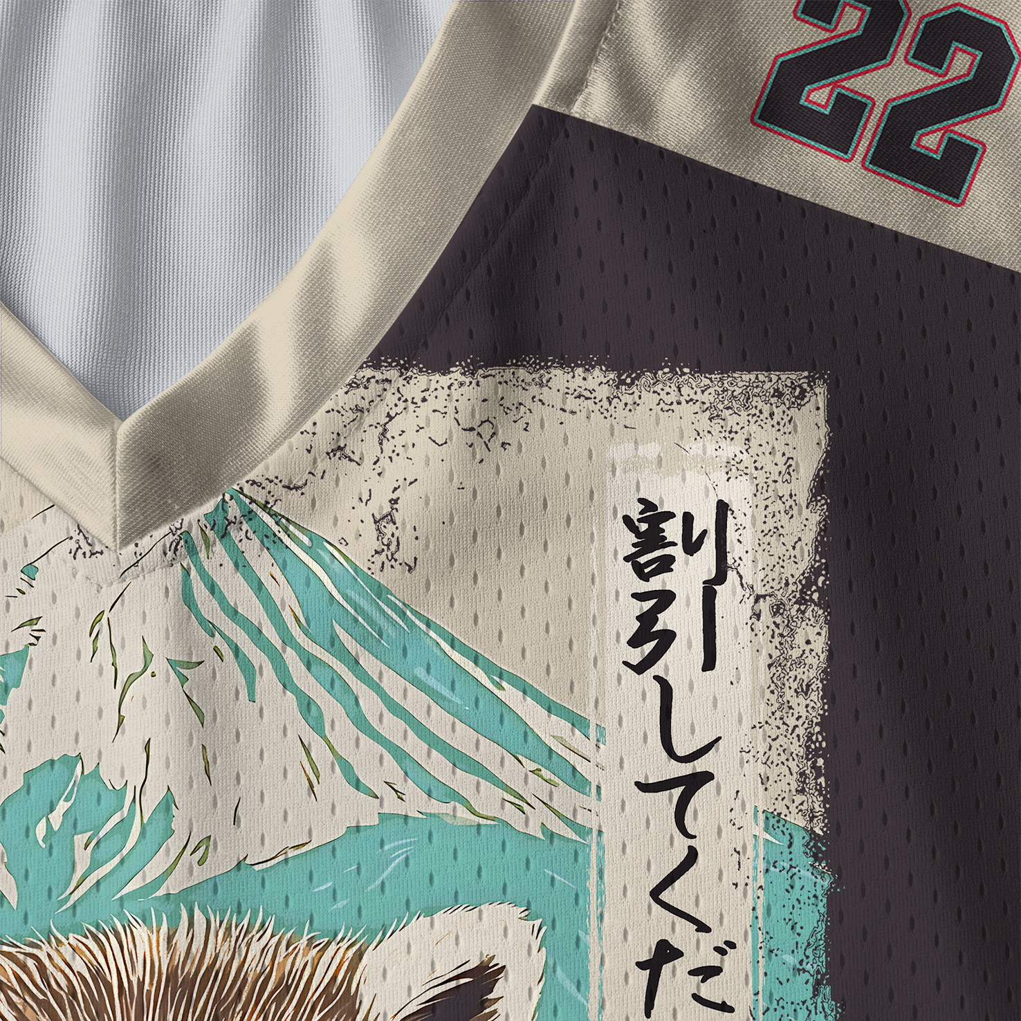 Tokyo-Tiger Please Give Raccoon A Discount Paneled Long Sleeve Jersey
