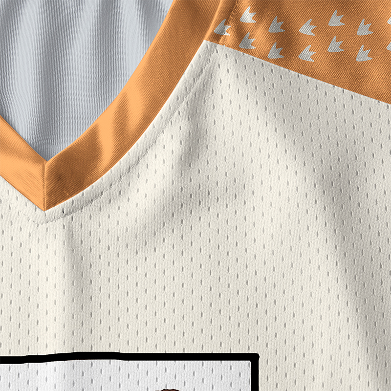 Tokyo-Tiger Office Angry Duck Graphic Paneled Long Sleeve Jersey
