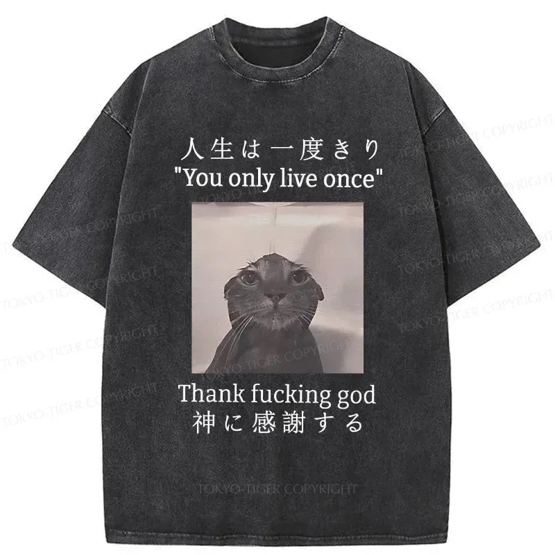 Tokyo-Tiger Funny Melancholy Cat Washed T-Shirt