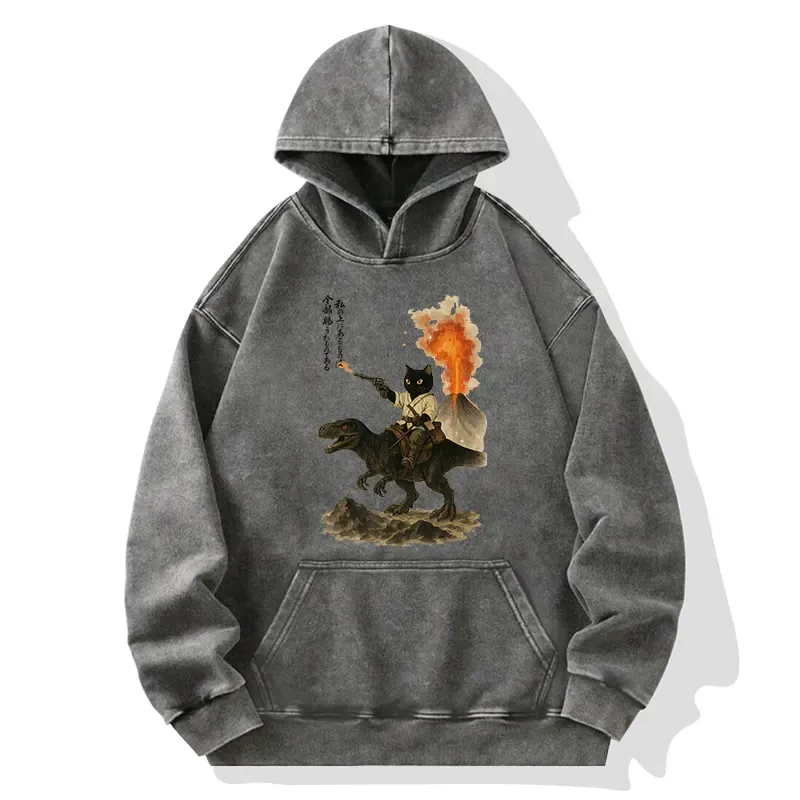 Tokyo-Tiger Cat Riding A Dinosaur Washed Hoodie