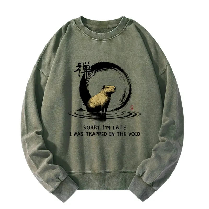 Tokyo-Tiger Zen Capybara Was Trapped In The Void Washed Sweatshirt