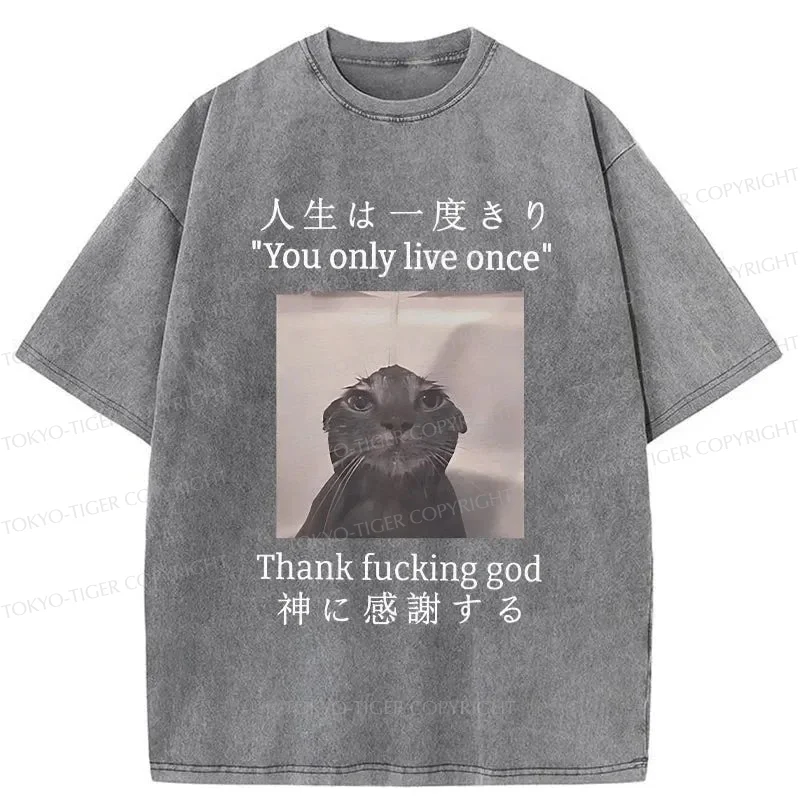 Tokyo-Tiger Funny Melancholy Cat Washed T-Shirt