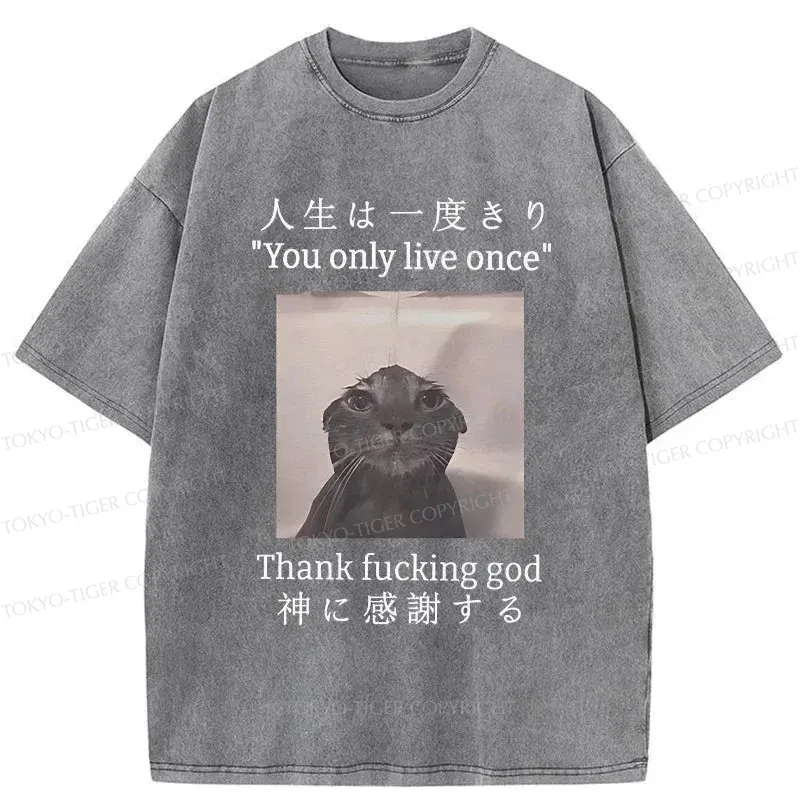 Tokyo-Tiger Funny Melancholy Cat Washed T-Shirt