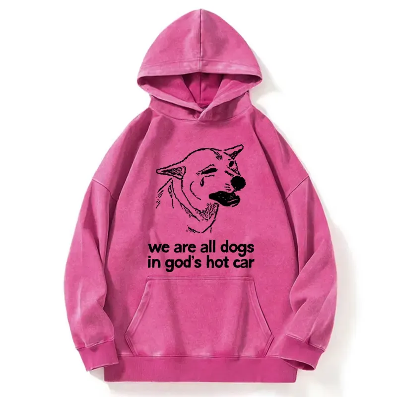 Tokyo-Tiger Sad Dog Funny Washed Hoodie