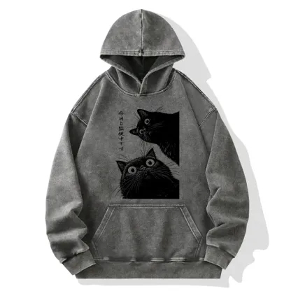 Tokyo-Tiger The Cat Is Watching Today Washed Hoodie