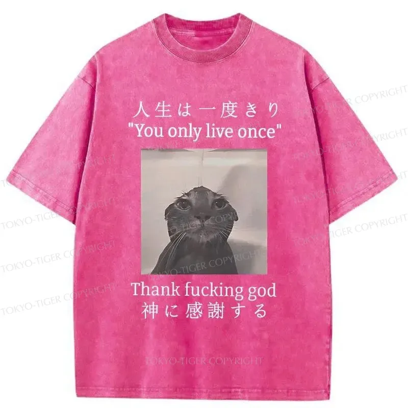 Tokyo-Tiger Funny Melancholy Cat Washed T-Shirt