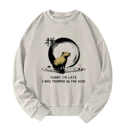 Tokyo-Tiger Zen Capybara Was Trapped In The Void Washed Sweatshirt