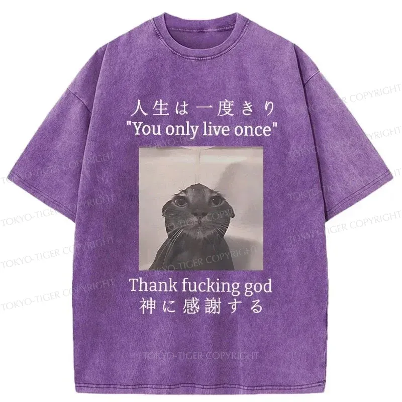 Tokyo-Tiger Funny Melancholy Cat Washed T-Shirt