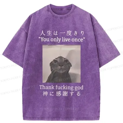 Tokyo-Tiger Funny Melancholy Cat Washed T-Shirt