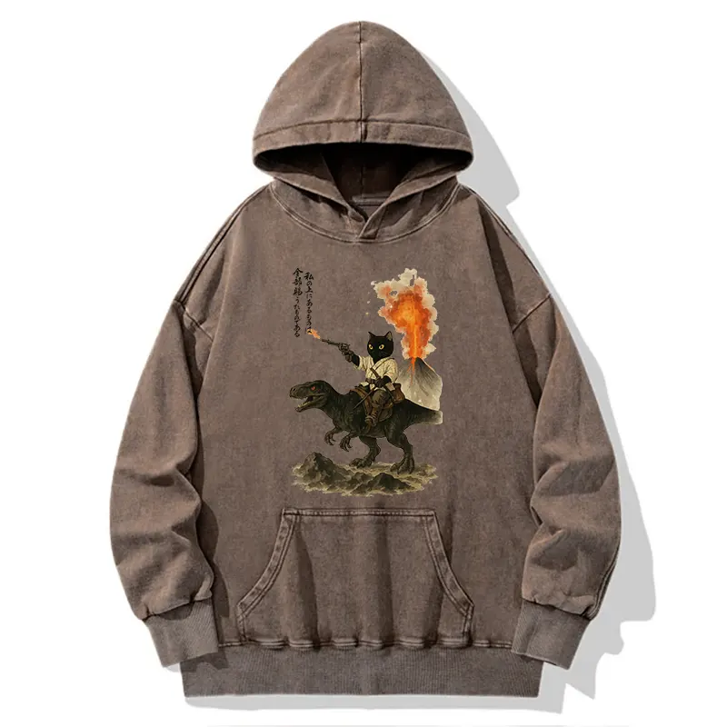 Tokyo-Tiger Cat Riding A Dinosaur Washed Hoodie