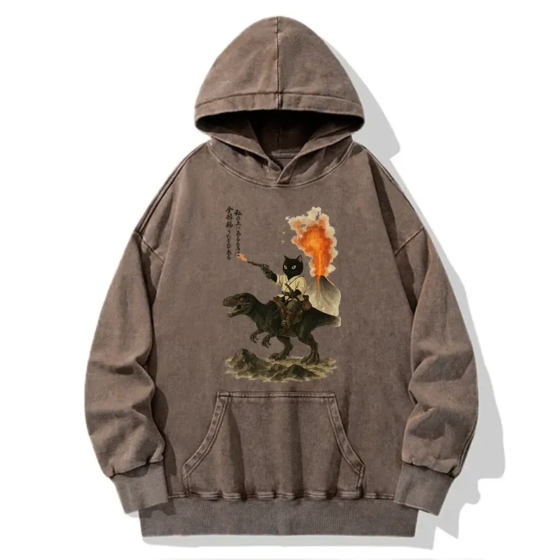 Tokyo-Tiger Cat Riding A Dinosaur Washed Hoodie