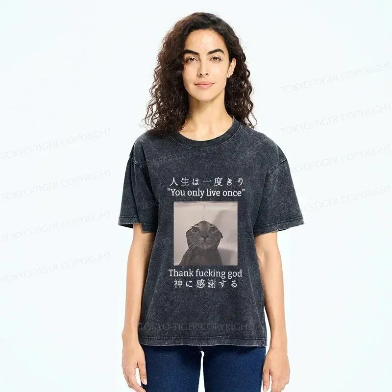 Tokyo-Tiger Funny Melancholy Cat Washed T-Shirt