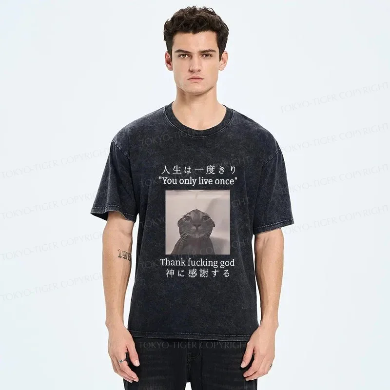 Tokyo-Tiger Funny Melancholy Cat Washed T-Shirt