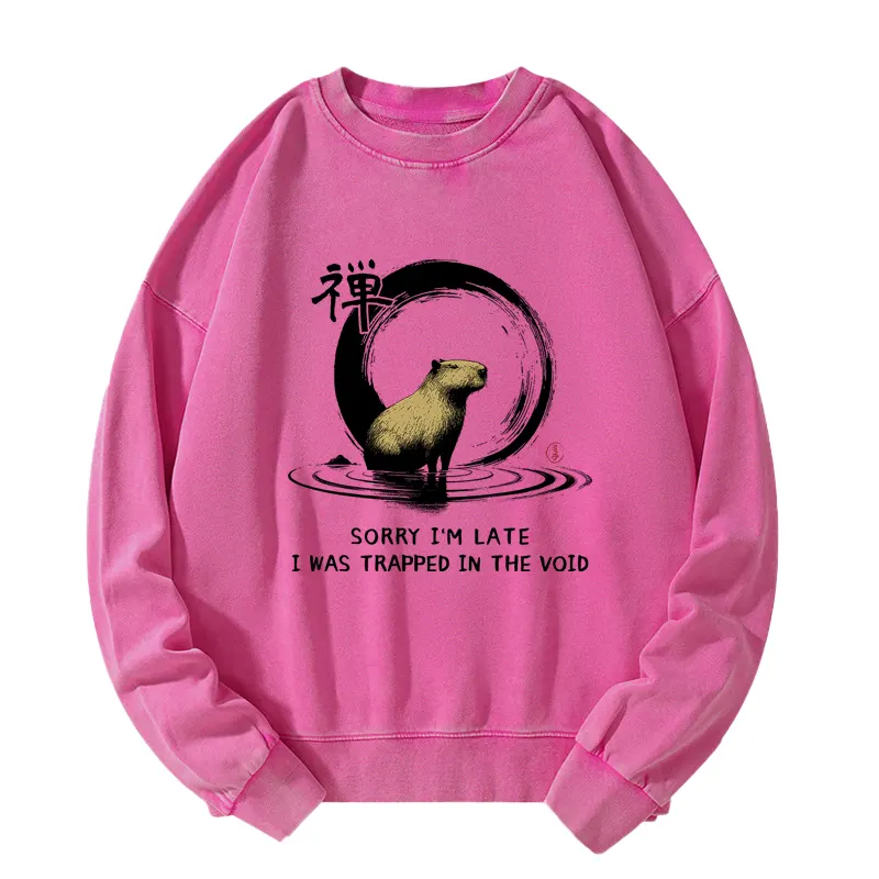 Tokyo-Tiger Zen Capybara Was Trapped In The Void Washed Sweatshirt