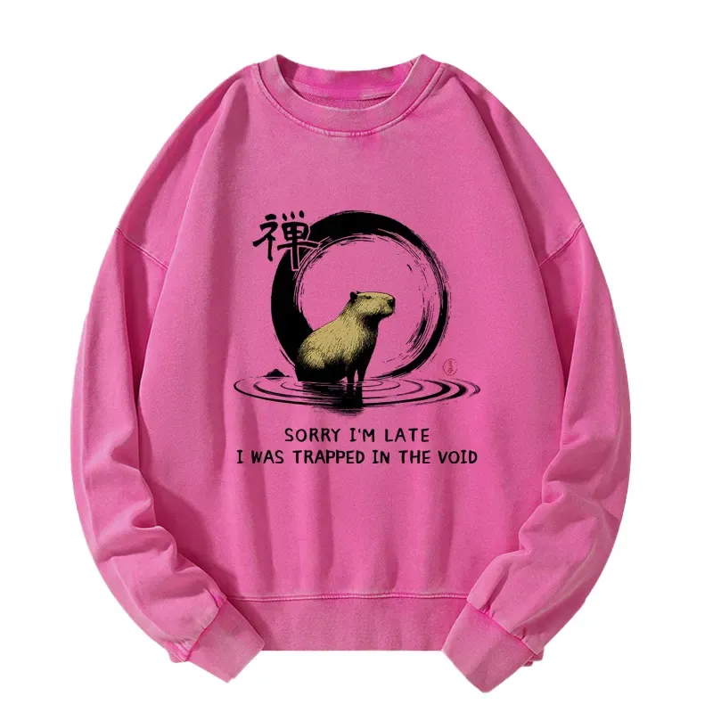 Tokyo-Tiger Zen Capybara Was Trapped In The Void Washed Sweatshirt