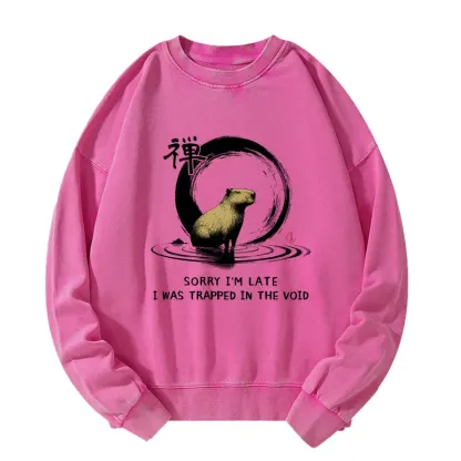 Tokyo-Tiger Zen Capybara Was Trapped In The Void Washed Sweatshirt