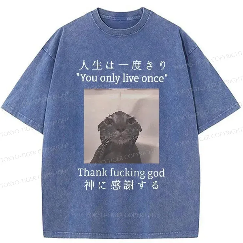 Tokyo-Tiger Funny Melancholy Cat Washed T-Shirt