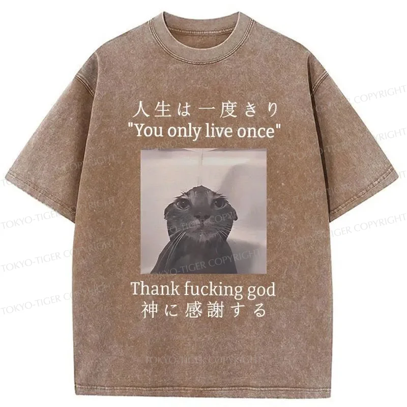Tokyo-Tiger Funny Melancholy Cat Washed T-Shirt