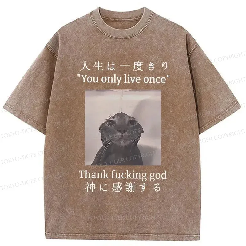 Tokyo-Tiger Funny Melancholy Cat Washed T-Shirt Sale