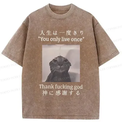 Tokyo-Tiger Funny Melancholy Cat Washed T-Shirt