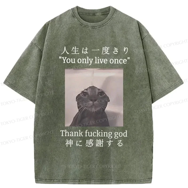 Tokyo-Tiger Funny Melancholy Cat Washed T-Shirt
