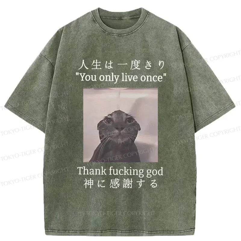Tokyo-Tiger Funny Melancholy Cat Washed T-Shirt